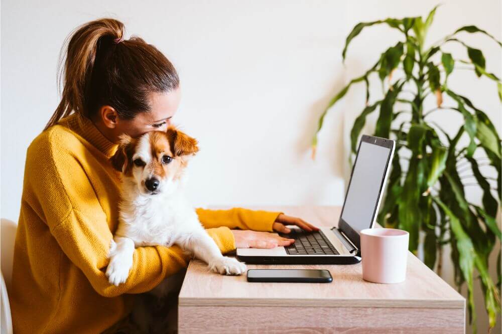 Where to Place a Desk in Home Office